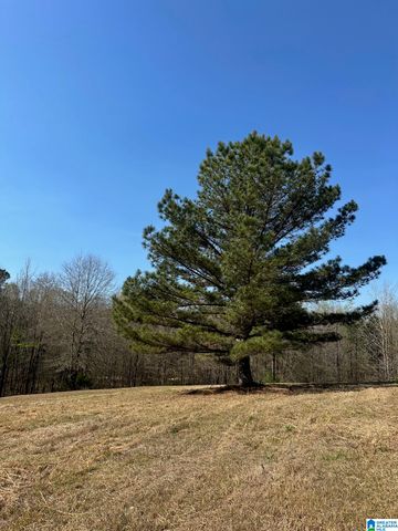 1896 HIGHWAY 45, Sterrett, AL 35147