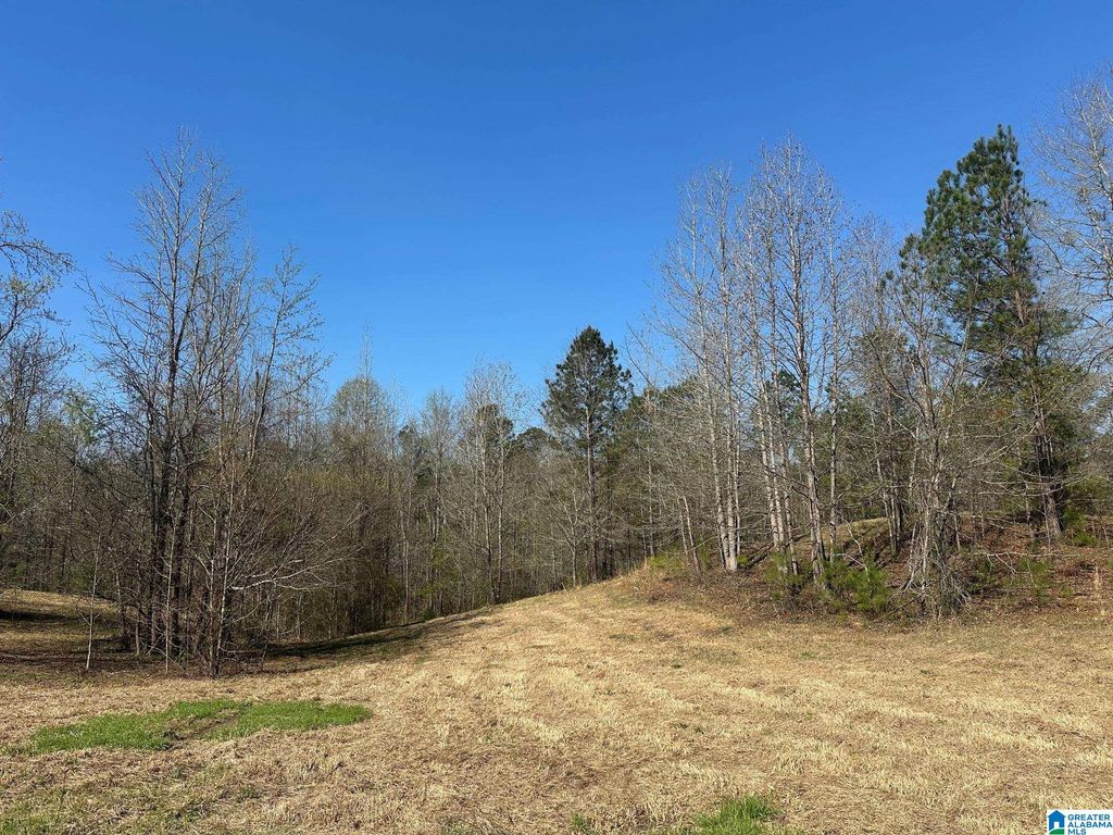 1896 HIGHWAY 45, Sterrett, AL 35147