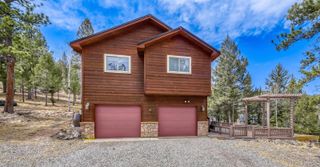 12447 S Danny Avenue, Pine, CO 80470