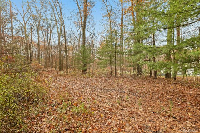 3 Grey Beech Lane, Pomona, NY 10970