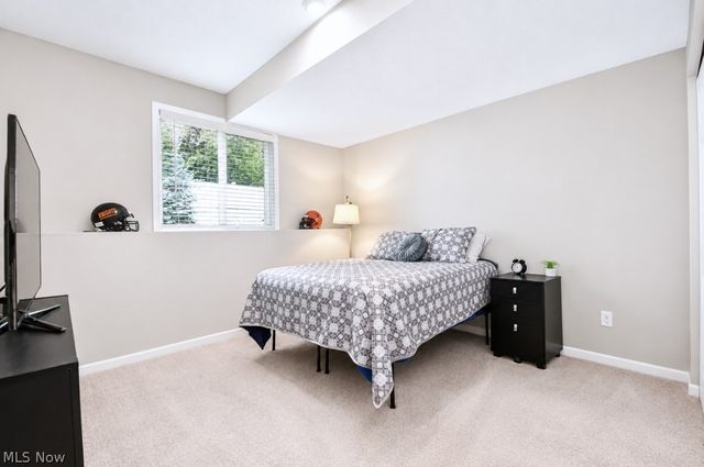 8208 Mustang Lane, Mentor, OH 44060