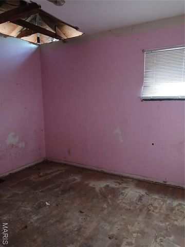 10612 Spring Garden Drive, St Louis, MO 63137