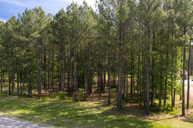 0 Wilderness Drive Lot 75-B, Jasper, TN 37347