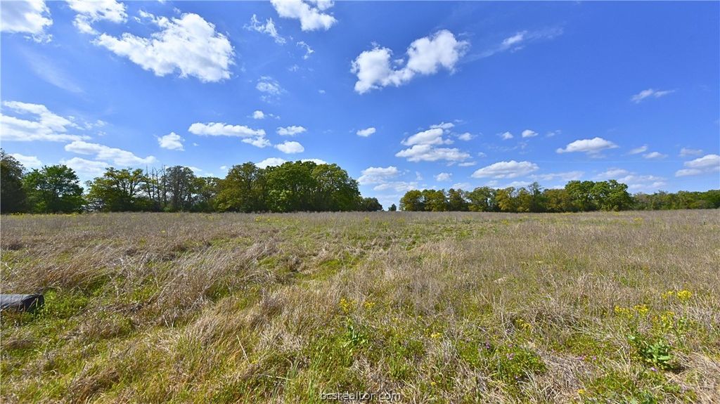 TBD Legacy Road (10.4 acres), Caldwell, TX 77836 — photo 5