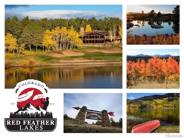 224 Six Elk Court, Red Feather Lakes, CO 80545