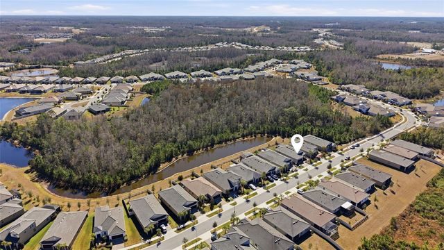 16816 SHELL BAY DRIVE, Land O Lakes, FL 34638