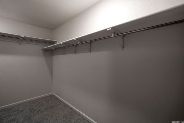 8006 Coco Meadow, Converse, TX 78109