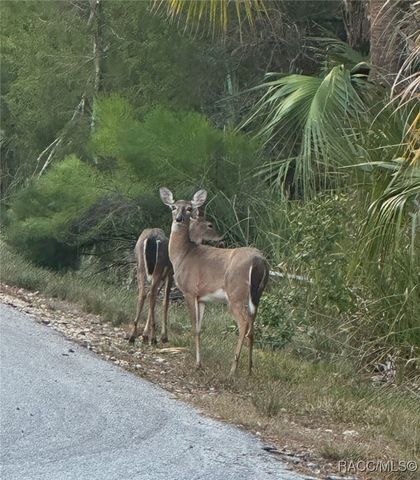 6940 S Hancock Road, Homosassa, FL 34448