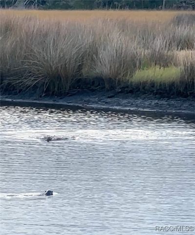 6940 S Hancock Road, Homosassa, FL 34448