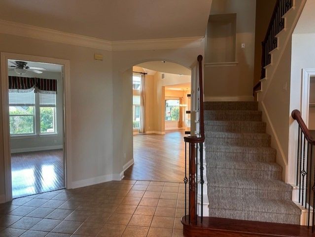 407 Pintail Drive, Mckinney, TX 75072