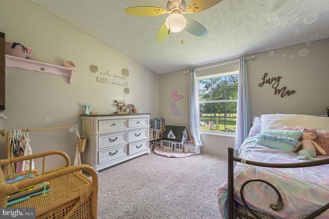 440 INDIAN RUNNER RD, Felton, DE 19943