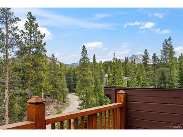 54 Lakeview Dr, Breckenridge, CO 80424