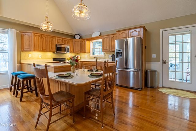 30146 Tobias Drive, Meadowview, VA 24361