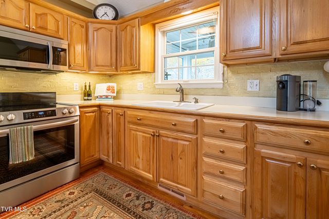 30146 Tobias Drive, Meadowview, VA 24361