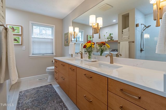 30146 Tobias Drive, Meadowview, VA 24361