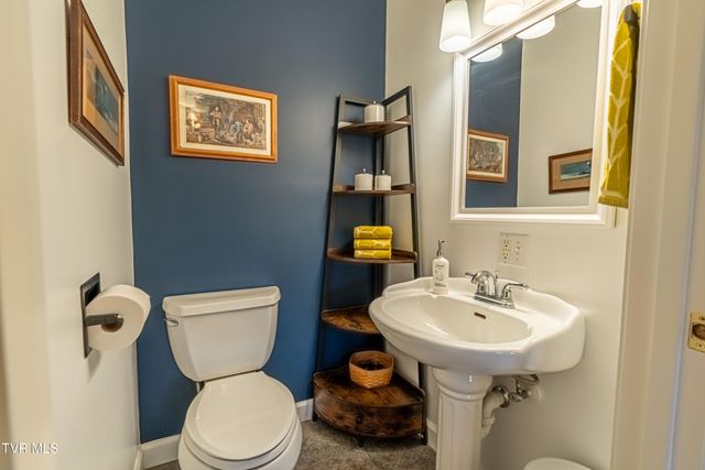 30146 Tobias Drive, Meadowview, VA 24361