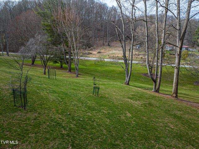 30146 Tobias Drive, Meadowview, VA 24361