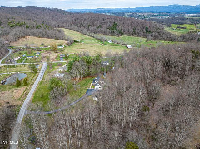 30146 Tobias Drive, Meadowview, VA 24361