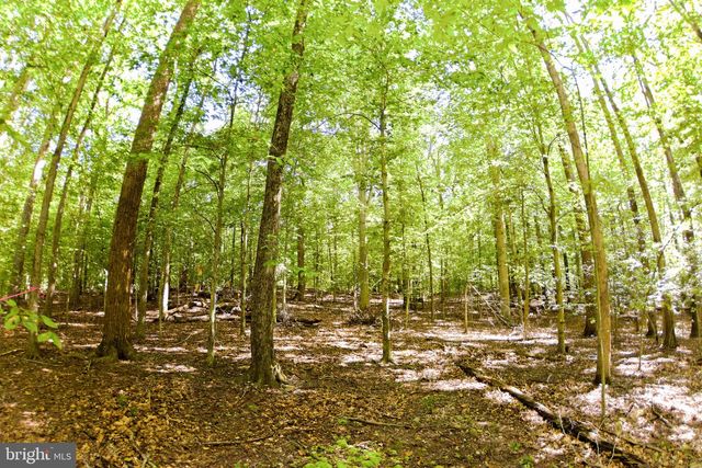 LAUREL DR, Accokeek, MD 20607