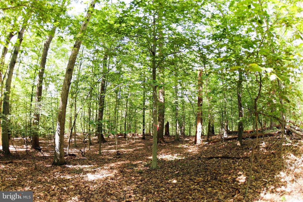LAUREL DR, Accokeek, MD 20607