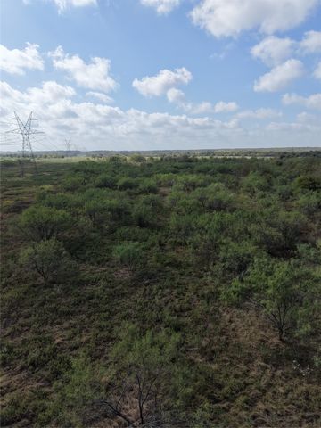 7255 SW County Road 2420, Wortham, TX 76693