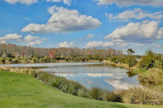 10025 EAGLE ROCK ALLEY, Orlando, FL 32832