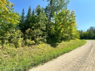 Lot 2 S Gull Lake Road NE, Port Hope Twp, MN 56647