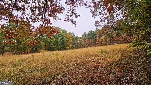 LOT 1 Snote Jones Road, Dallas, GA 30132