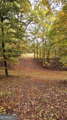 LOT 1 Snote Jones Road, Dallas, GA 30132