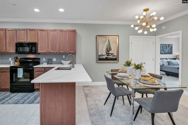 163 Sandlapper Way 9D, Lexington, SC 29072