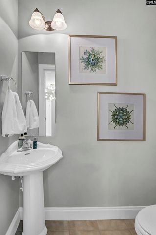 163 Sandlapper Way 9D, Lexington, SC 29072