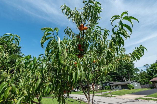 4310 E Morningside Drive, Bloomington, IN 47408