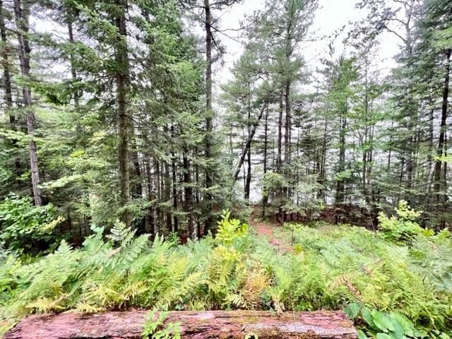 9102 County Road E, Hayward, WI 54843