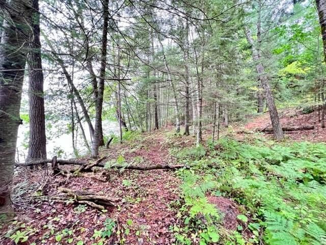 9102 County Road E, Hayward, WI 54843