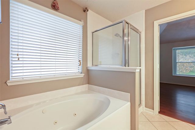 171 S Delta Mill Circle, The Woodlands, TX 77385