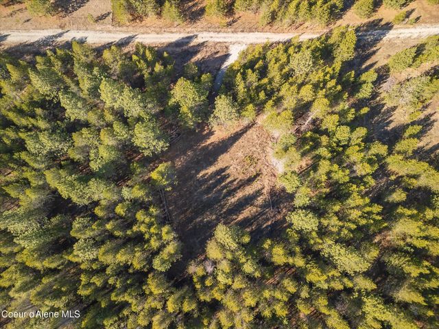 67 Pine MDW, Athol, ID 83801