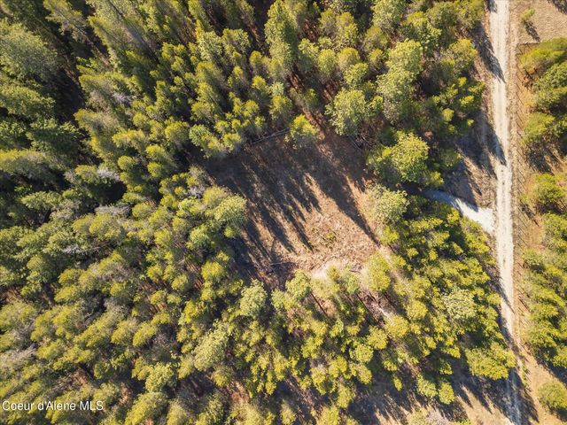 67 Pine MDW, Athol, ID 83801