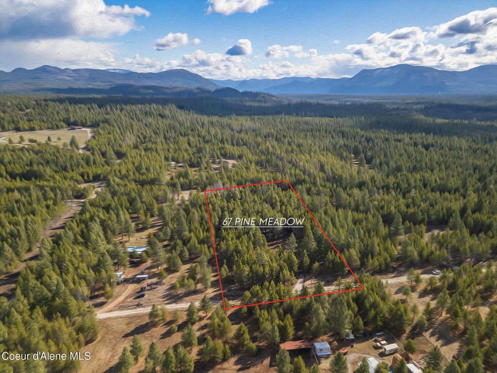67 Pine MDW, Athol, ID 83801