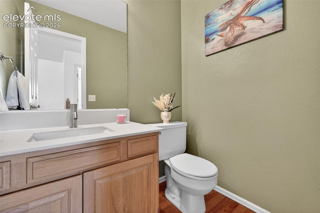 12 Luxury Lane, Colorado Springs, CO 80921 — photo 4