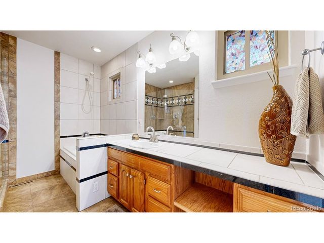 10507 Brown Fox Trl, Littleton, CO 80125