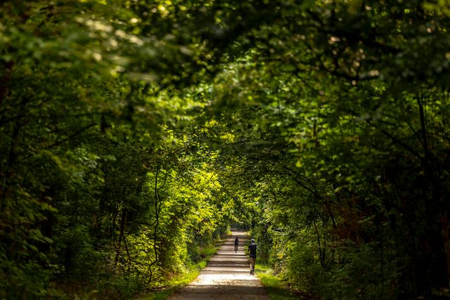 236 EASTLAND DR, Memphis, TN 38111