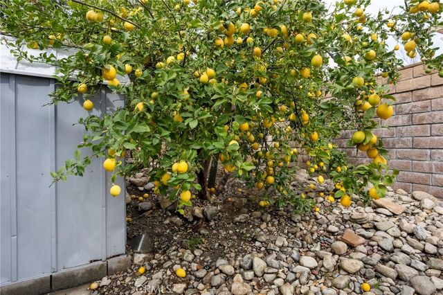 3684 Veronica Court, Rialto, CA 92377