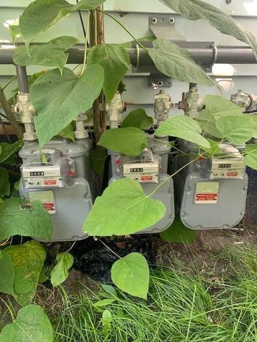 822 Wall Street, Port Huron, MI 48060