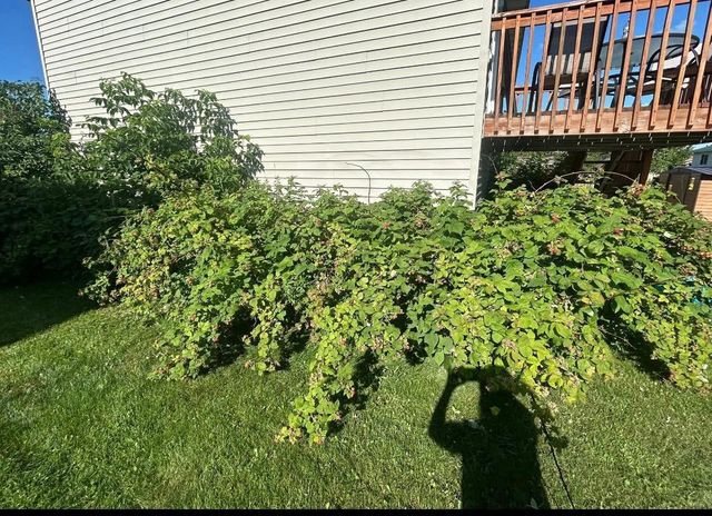 2814 Addison Avenue, Brainerd, MN 56401