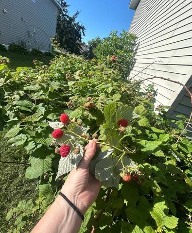 2814 Addison Avenue, Brainerd, MN 56401