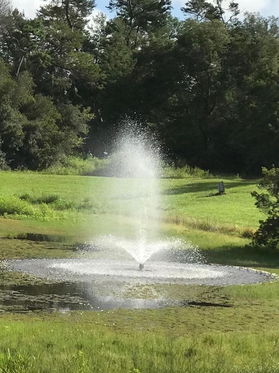 Image 2 of property listing at 3331 SW 153RD PLACE ROAD, Ocala, FL 34473