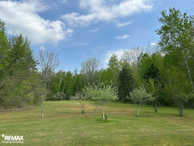 2310 Dale Road, Tobacco Twp, MI 48612