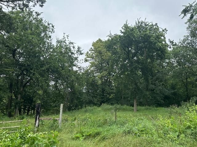 32752 County 16, Cushing, MN 56443