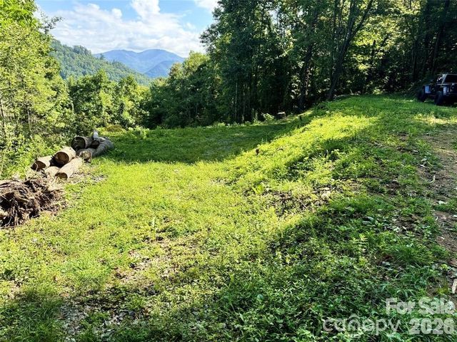 350 Scotts Trail, Madison, NC 28743