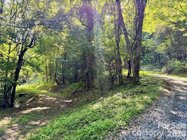 350 Scotts Trail, Madison, NC 28743